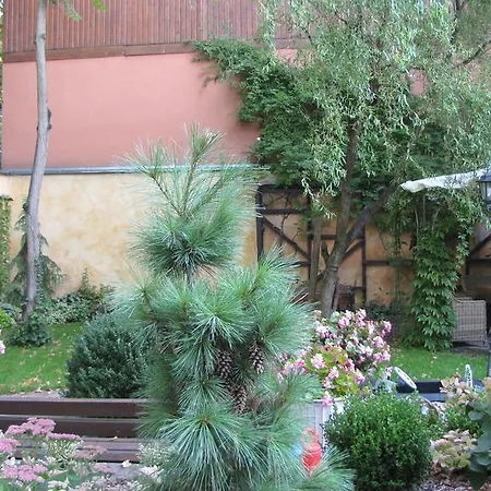 Apartament Klimatyczne Mieszkanie W Kamienicy